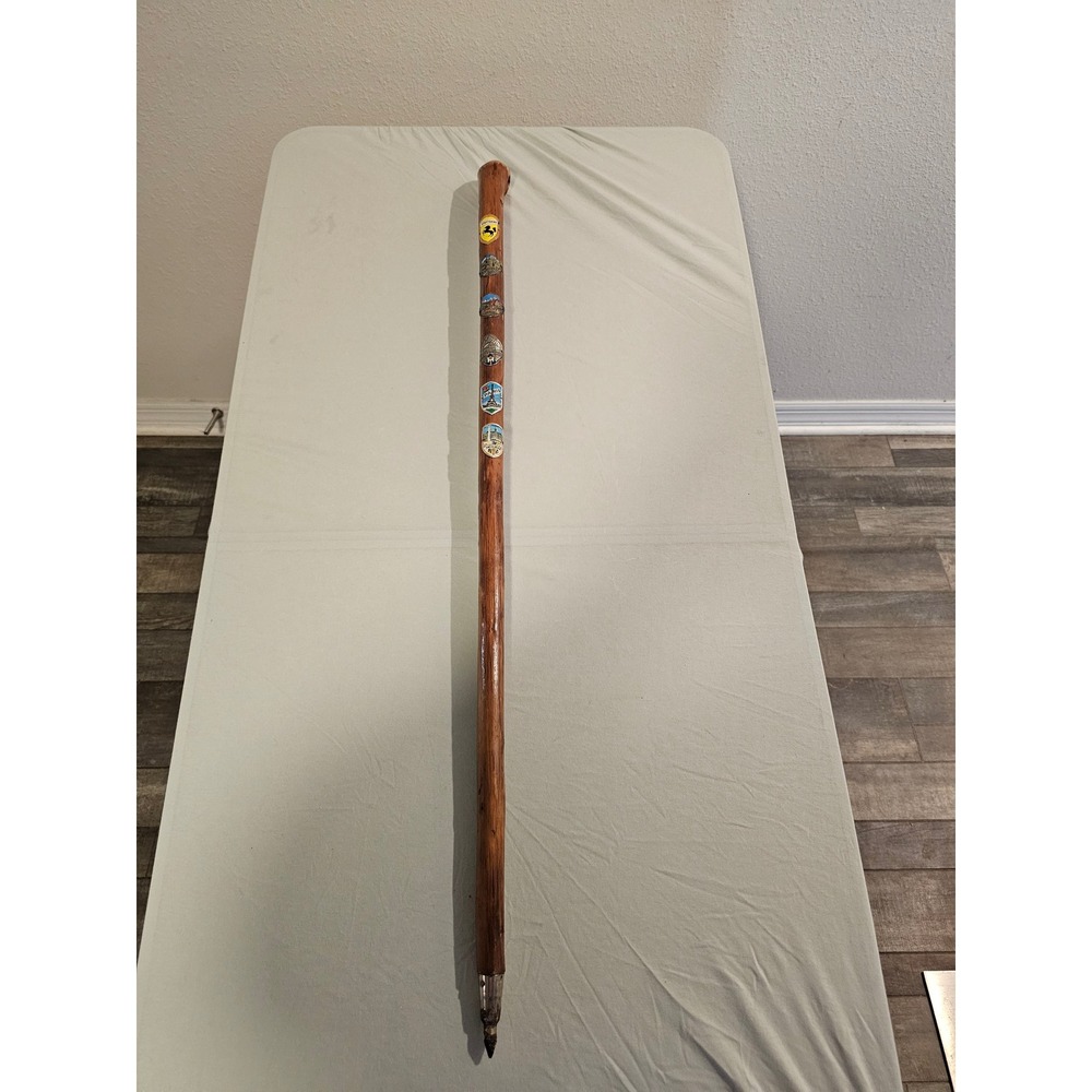 Vintage Wood Hiking Stick 38" Travel Medallions Paris Amsterdam‎ Stuttgart